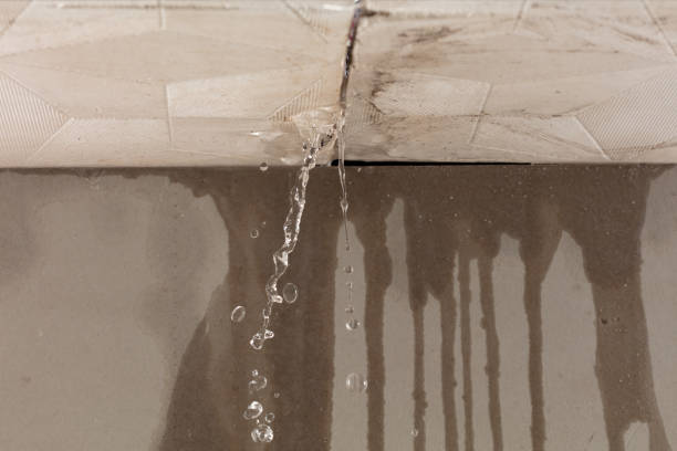 Professional Water Damage Repair technician working in Petal, MS